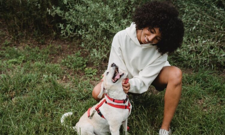 Person playing with their dog in grassy field.