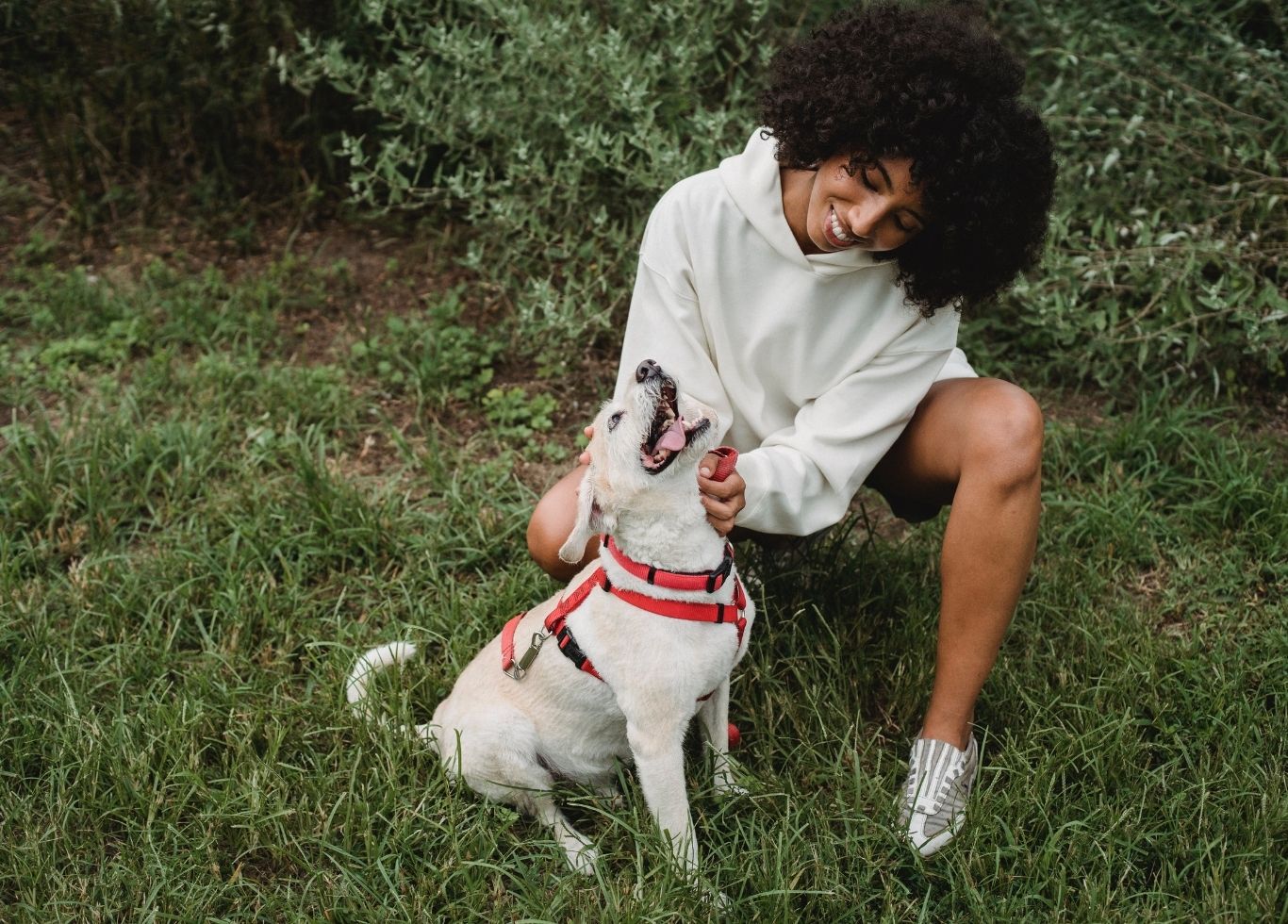 Farm Haus One, Two & ThreeBedroom Apartments For Rent In Longmont